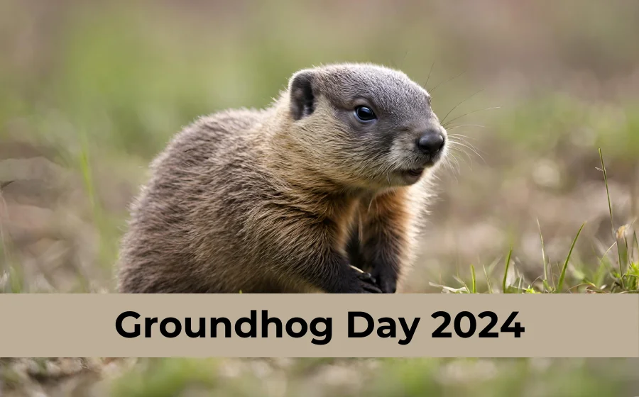 Groundhog Day 2024 Will Punxsutawney Phil Cast a Shadow? snapblogz
